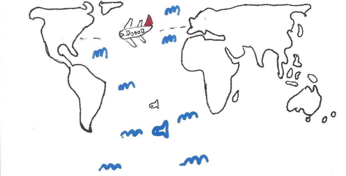 Own story: New Beginnings by&nbsp;Oscar